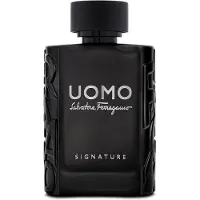 Salvatore Ferragamo Uomo Signature Edp 100ml