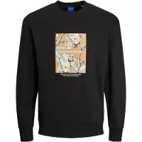 Jack & Jones Sequoia Collegegenser