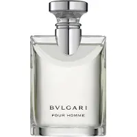 Bvlgari For Men Eau De Toilette 100ml (mann)