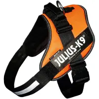 Julius-K9 Idc Power Hundesele