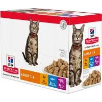 Hill's Pet Nutrition Adult - Fiskeutvalg 12 x 85 g
