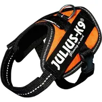 Julius-K9 IDC Powerharness UV Orange Baby2 33-45cm