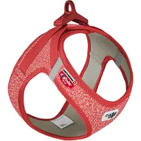 Curli Vest sele Clasp Merino Red XS