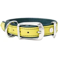 My Family Firenze Hundehalsbånd