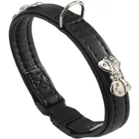 Ferplast Joy 20 Mm 31 Cm Hundehalsbånd