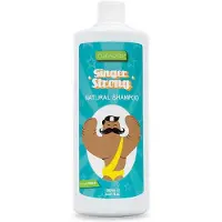 Valquer Cuidados Jengibre Ginger Strong 1000ml Sjampo
