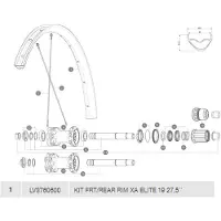 Mavic Xa Elite 19 Felg