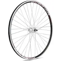 Gurpil Xm-1 7s 29´´ Tubeless Mtb Bakhjul