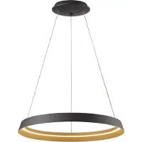 Steinhauer Ringlux hengelampe, 1 lyskilde, svart, metall