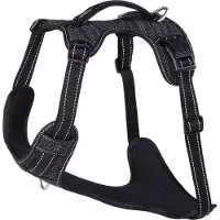 Rogz Explore Sjx05 Hundesele