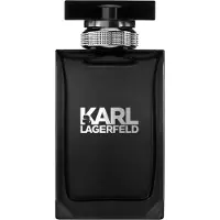 Karl Lagerfeld Men Eau De Toilette 100ml Parfyme