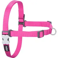 Red Dingo No-pull Hundesele