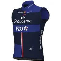 ALÉ Prime Groupama Fdj 2024 Vest