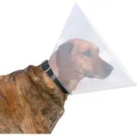 Trixie Protective collar plastic L-XL: 47-57 cm/30 cm