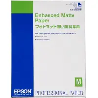 Epson C13s042095 A2 50 Enheter