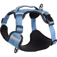 Flamingo Heron Hundesele