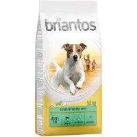 Briantos Adult Mini Lam & Ris - 4 x 1 kg
