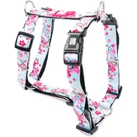 Max & Molly Max &Molly Hundesele Cherry Bloom - M: 53–69 cm brystomkrets