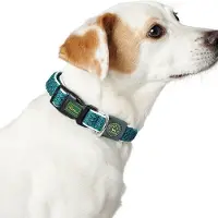 Hunter Pet Hilo Vario Basic M-l Hundehalsbånd