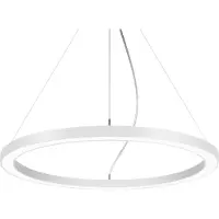 Brumberg Biro Circle Ring5 direkte Ø 60 cm DALI, hvit