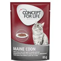 Concept for Life Maine Coon Adult (Ragout-kvalitet) - 24 x 85 g
