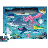 Crocodile Creek Shark Reef Puslespill 36 Stykker