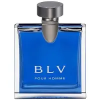 Bvlgari BLV for Men Eau de Toilette størrelse 100 ml