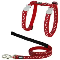 Red Dingo Style Star Kattsele