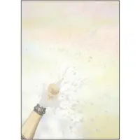 Sigel DP297, 100 ark