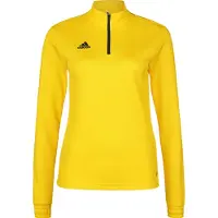 Adidas Entrada 22 Training Collegegenser