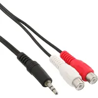 InLine 89941, Hankjønn, 3.5mm, Hunkjønn, 2 m, Svart