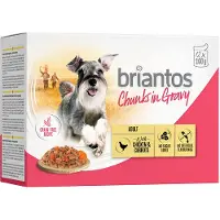 Briantos Økonomipakke Briantos Chunks i saus 48 x 100 g - Kylling & Gulrøtter