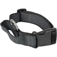 Julius-K9 Collar 40 Mm Hundehalsbånd