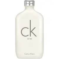 Calvin Klein CK One EDT 100 ml