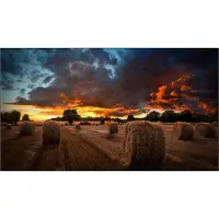 Samsung VM55B-U - 55 Diagonalklasse VMB-U Series LED-bakgrunnsbelyst LCD-skjerm - intelligent skilting - 1080p 1920 x 1080