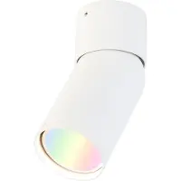 QAZQA Smart spotlight hvit justerbar inkl. Wifi GU10 - Falo