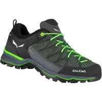 Salewa Mtn Trainer Lite Goretex Tursko
