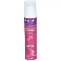 Cattier Sleeping Cream 50ml Ansiktsbehandling