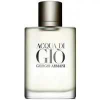 Giorgio Armani Acqua Di Gio Men Eau De Toilette 100ml Parfyme