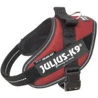 Julius-K9 Idc Power Hundesele