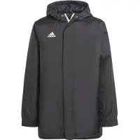 Adidas Ent22 Stadium Jakke