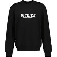 Dickies Script Collegegenser