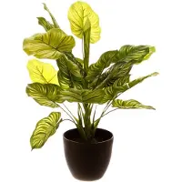 Atmosphera Jj3031 Blomsterpotte