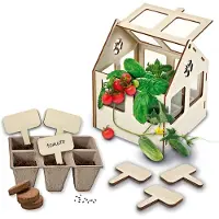 SES Creative - Utforsk - Minidrivhus m. Plant frø - - OneSize - Kreativt leker