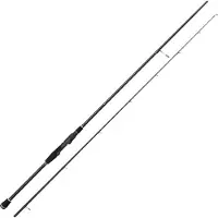 Westin W2 Finesse T&c Spinnestang