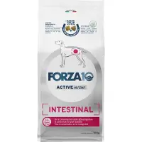 Forza10 Forza 10 Active Line - Intestinal Active - 10 kg