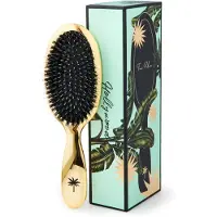 Fan Palm Hårbørste - Medium+ - Hollywood - - OneSize - Hårbørste