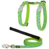 Red Dingo Style Kattsele