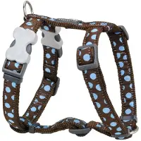 Red Dingo Style Moles Hundesele