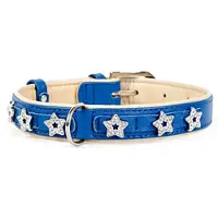 Collar Pet Blue Star Hundehalsbånd